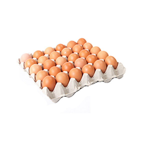 Chicken eggs