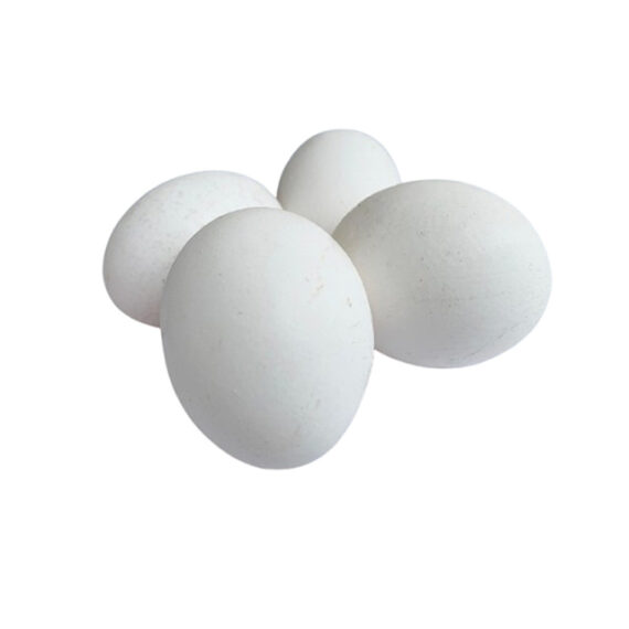 Turkey eggs - Image 2