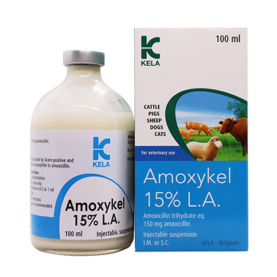 AMOXYKEL 15%