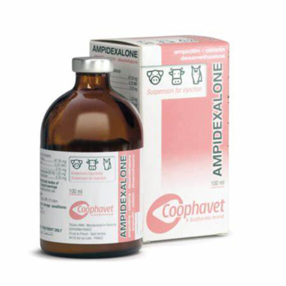 AMPIDEXALONE 100ML