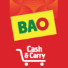 BAO-e1667902452893.png