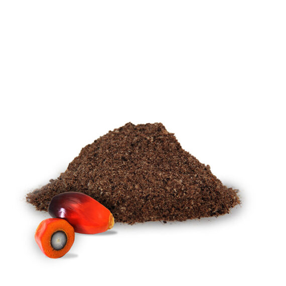 Palm kernel meal - Image 2