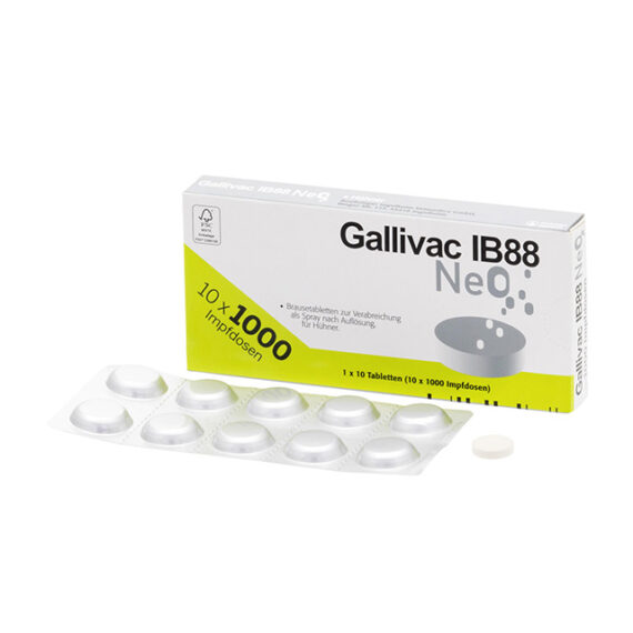 GALLIVAC IB88 NEO