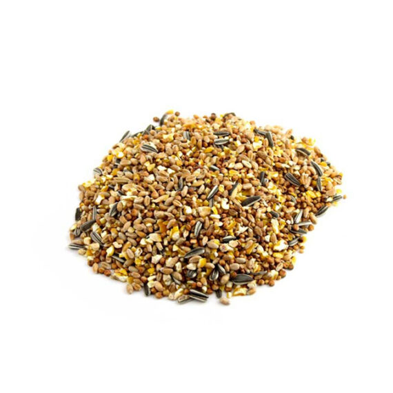 Grain Feed for Hens - Image 2