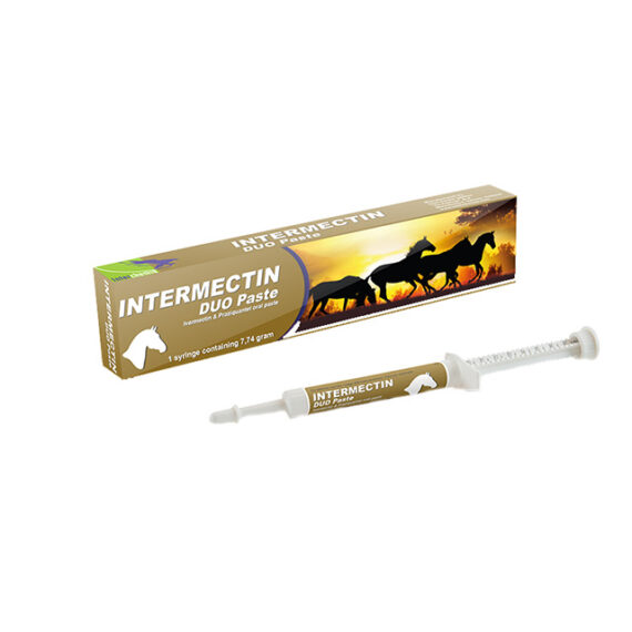 INTERMECTIN DUO PASTE