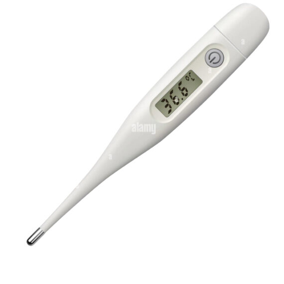 Electronic Thermometer - Image 2