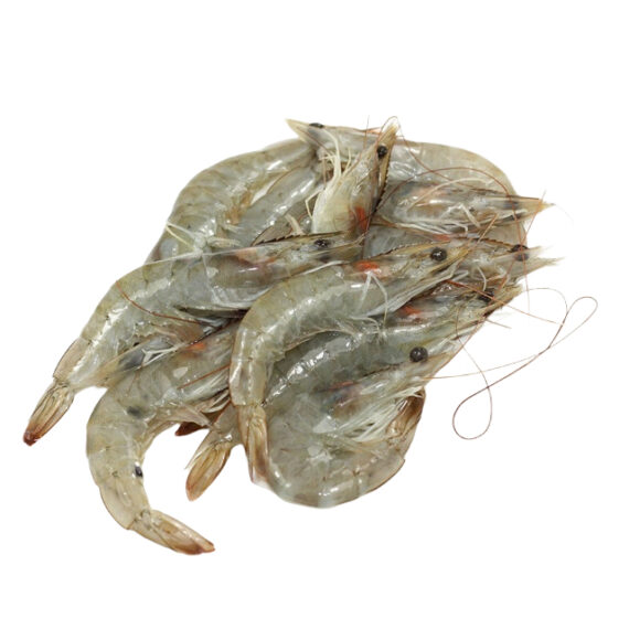 Prawns - Image 2