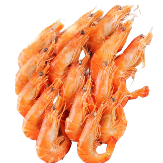 shrimp