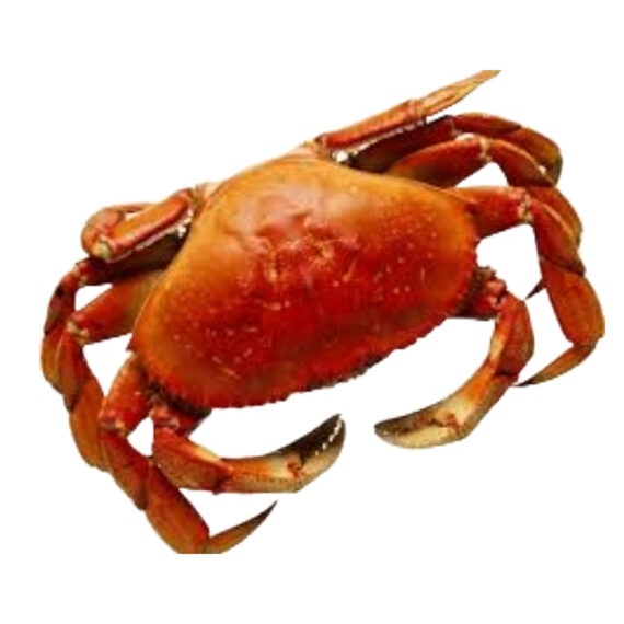 The Crab