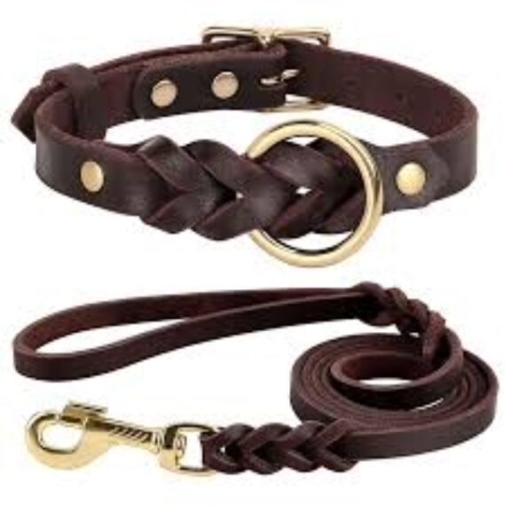 Large Leather Collar and Leash Set