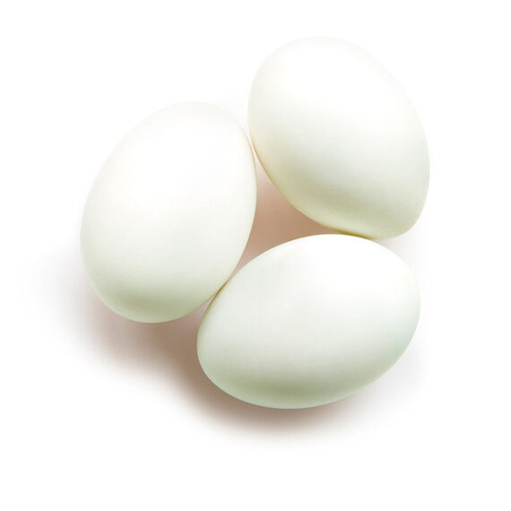 Duck eggs - Image 2