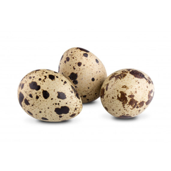 Quail eggs - Image 2