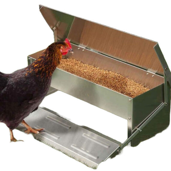 chicken feeder – Image 2